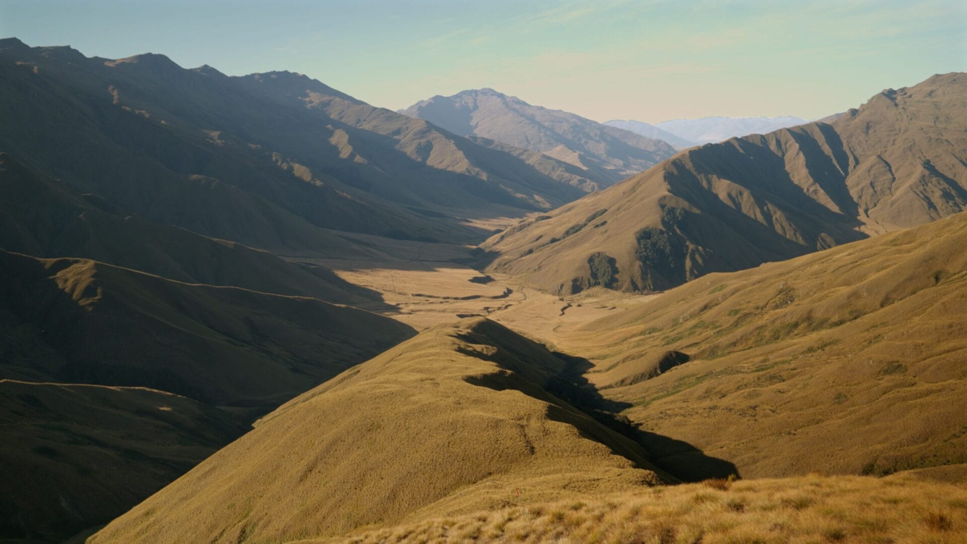 Tussock valley