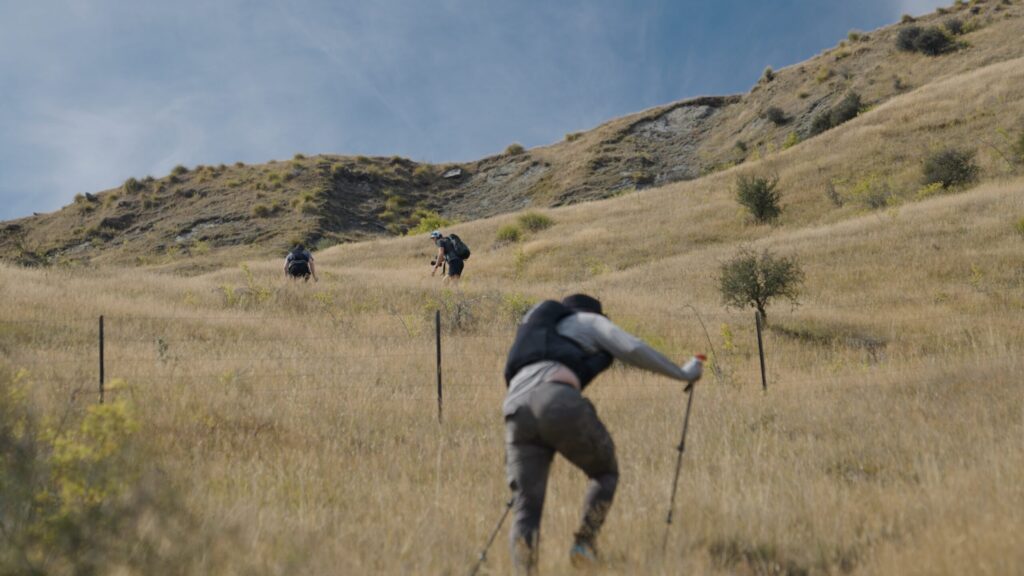trampers walking up a tussock hill